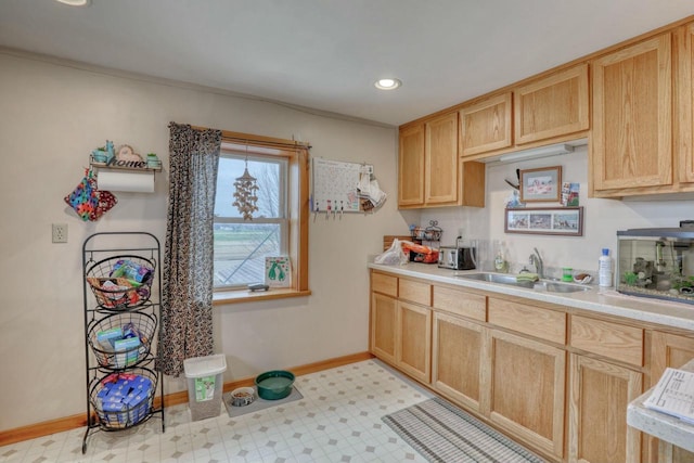 kitchen featuring light brown cabinets and sink