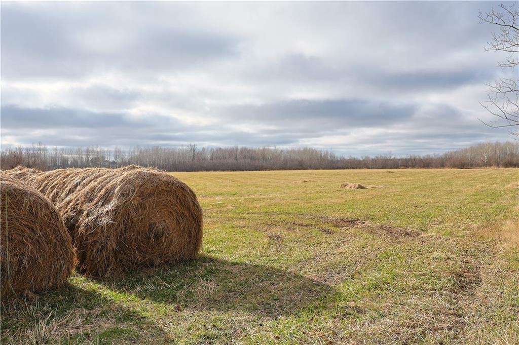 60ACRES Thatcher Rd, Glen Flora WI, 54526 land for sale