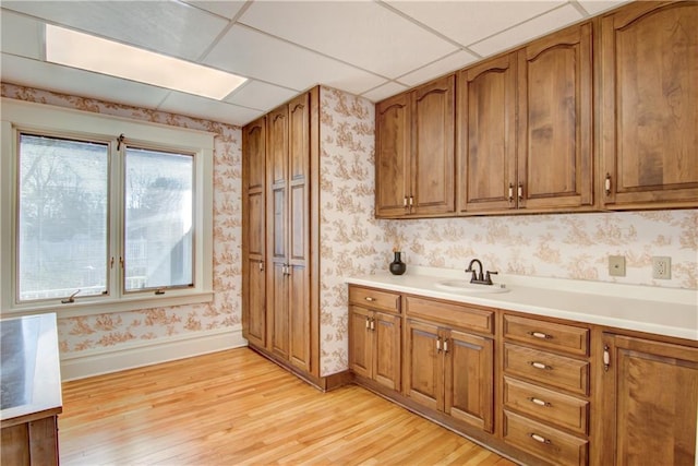 kitchen featuring a paneled ceiling, light wood-type flooring, and sink