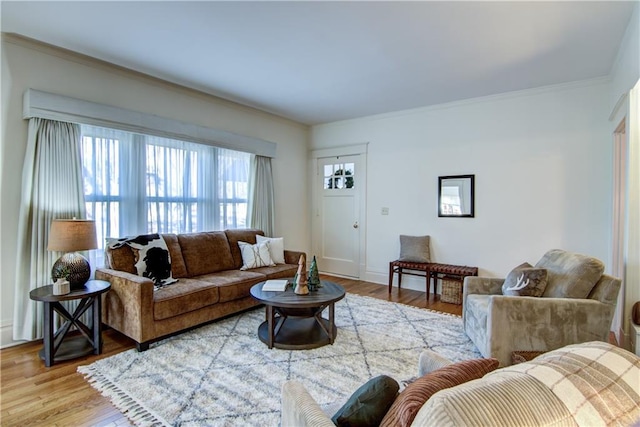 living room with hardwood / wood-style floors and ornamental molding