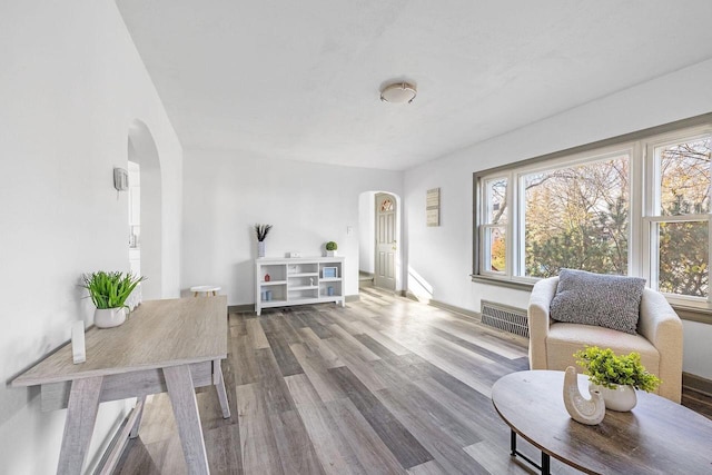 living room with wood-type flooring