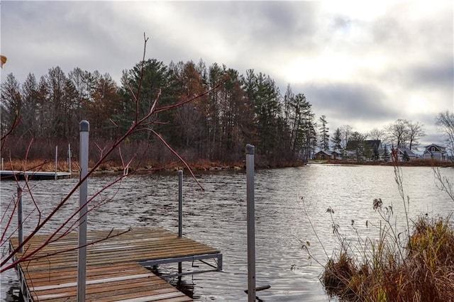 dock area featuring a water view