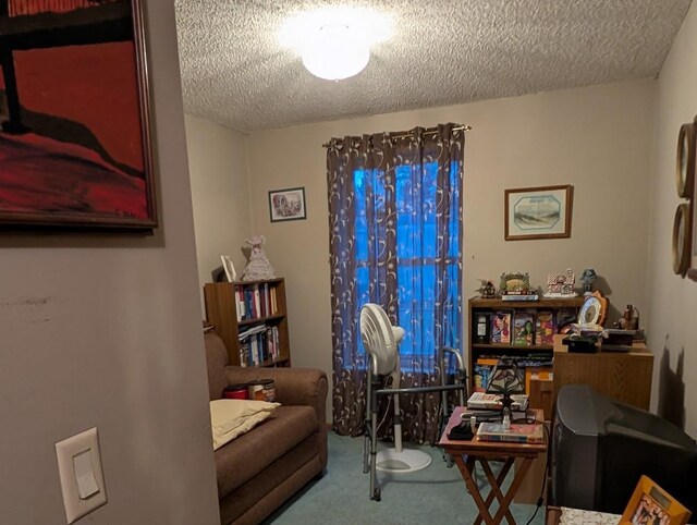 living area featuring carpet and a textured ceiling