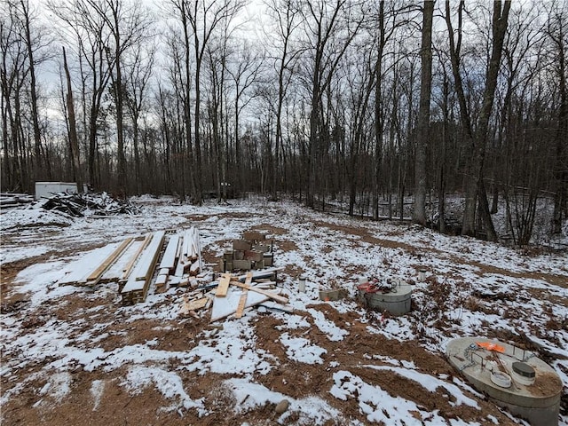 view of snowy landscape