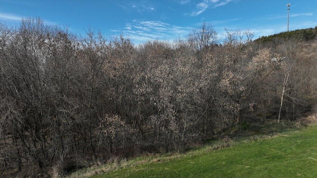 view of local wilderness