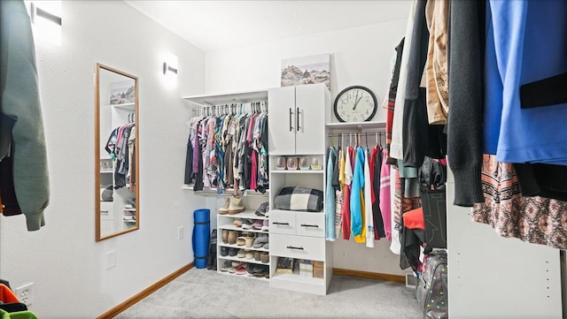 walk in closet featuring carpet flooring