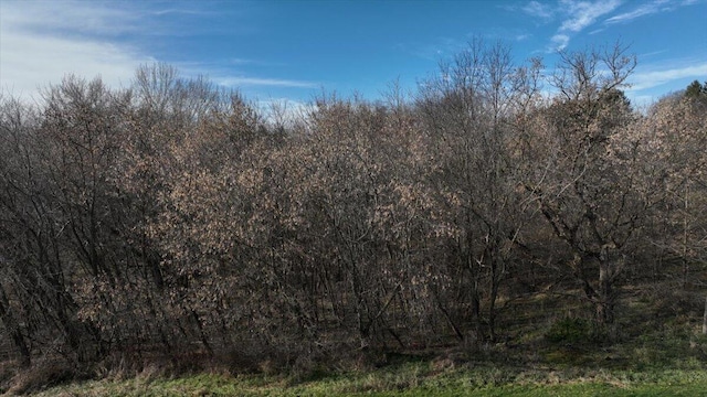 view of nature