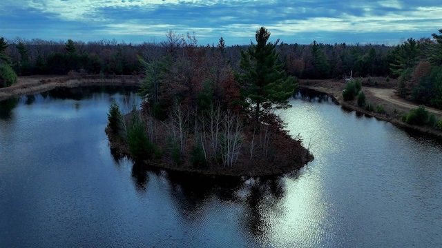 Listing photo 2 for 25ACRES Sawmill Rd, Stevens Point WI 54481