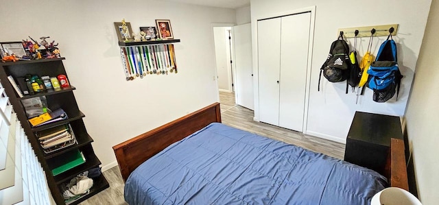 bedroom featuring wood-type flooring and a closet