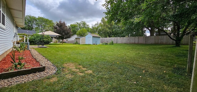 view of yard featuring a shed