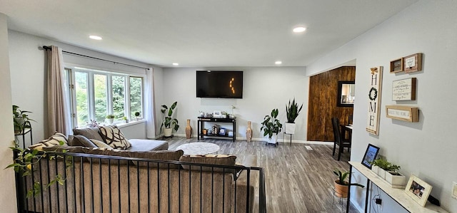 living room featuring dark wood-type flooring