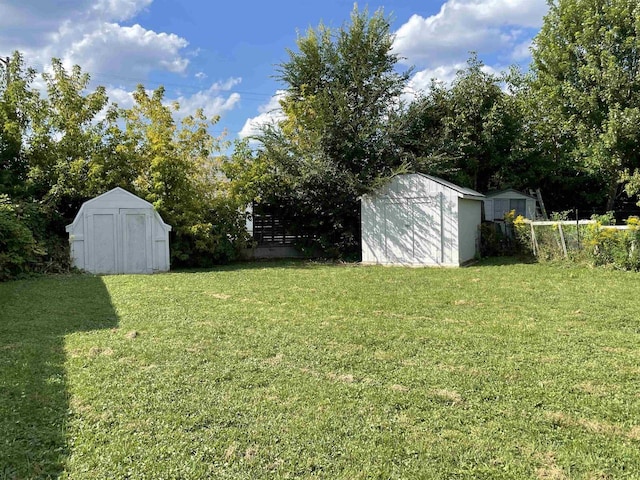 view of yard with a storage shed