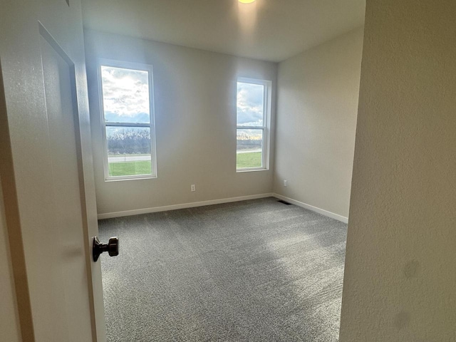 spare room featuring carpet and plenty of natural light