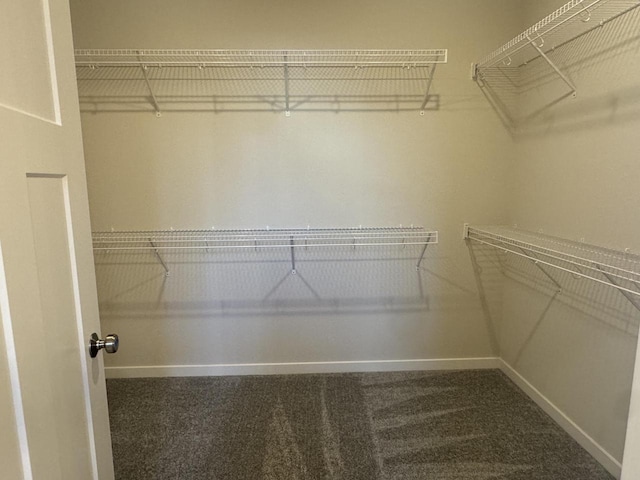 spacious closet with carpet flooring