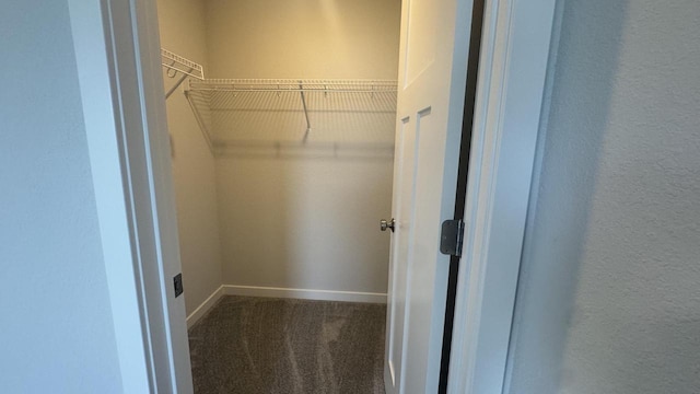 spacious closet with carpet