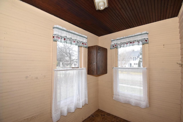 unfurnished room featuring wooden walls and a wealth of natural light