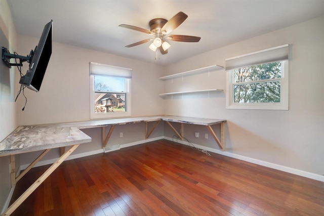 unfurnished office with ceiling fan, built in desk, and dark hardwood / wood-style floors