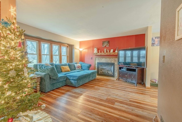 living room featuring light hardwood / wood-style flooring