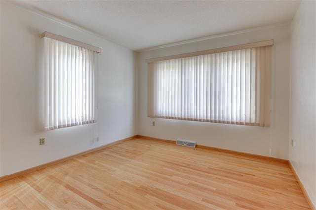 spare room featuring wood-type flooring and plenty of natural light