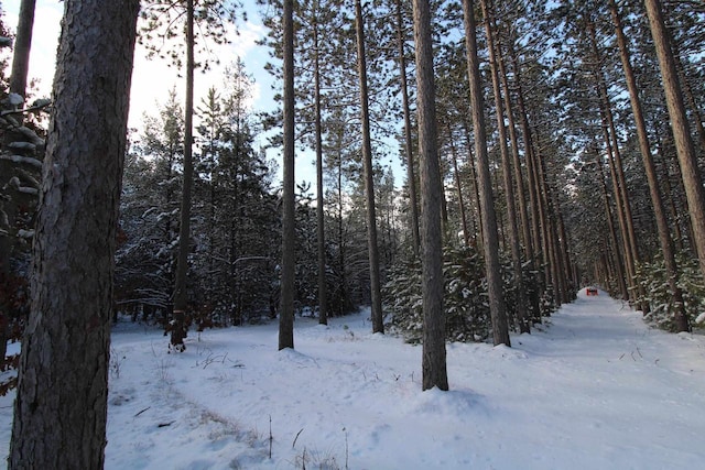 view of snow covered land