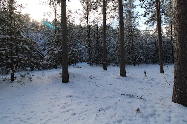 view of yard layered in snow