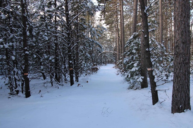 view of snow covered land