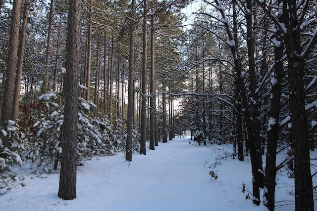 view of snow covered land