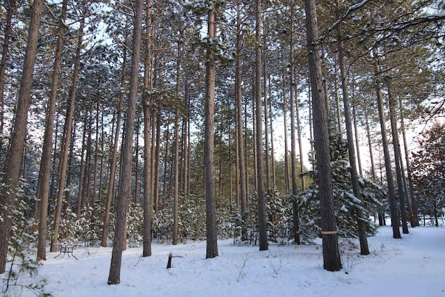 view of snowy landscape