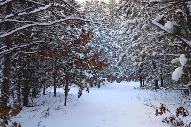 view of snowy view