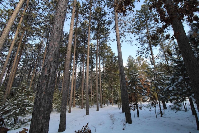 view of snow covered land