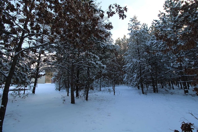 view of snowy landscape