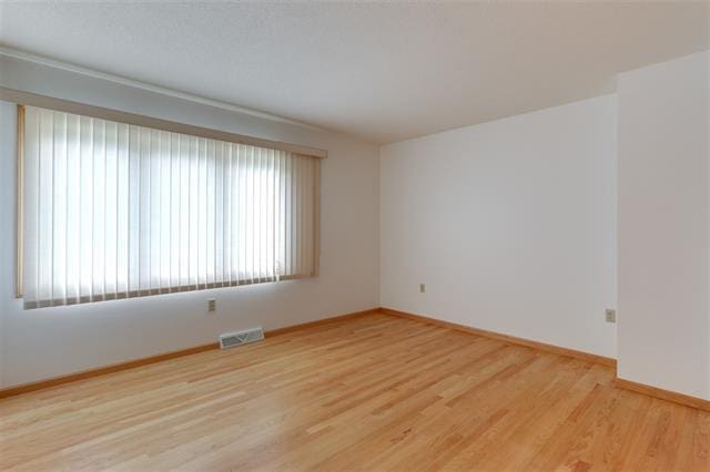 empty room featuring a wealth of natural light and wood-type flooring