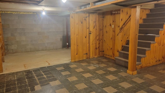 basement with wooden walls