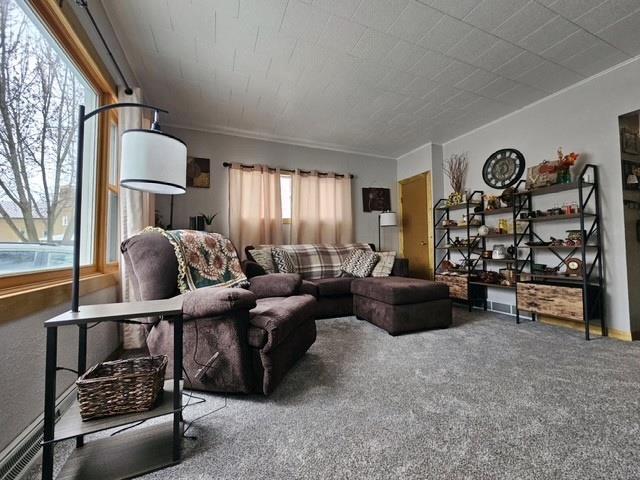 living room featuring carpet and crown molding