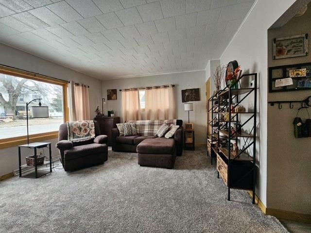 carpeted living room featuring a healthy amount of sunlight