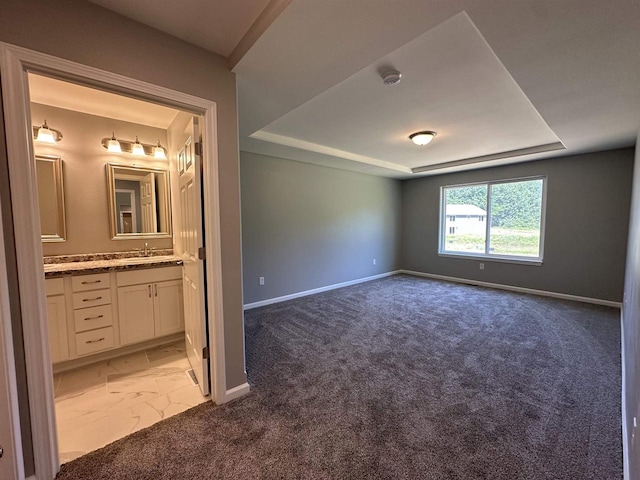 interior space with a raised ceiling