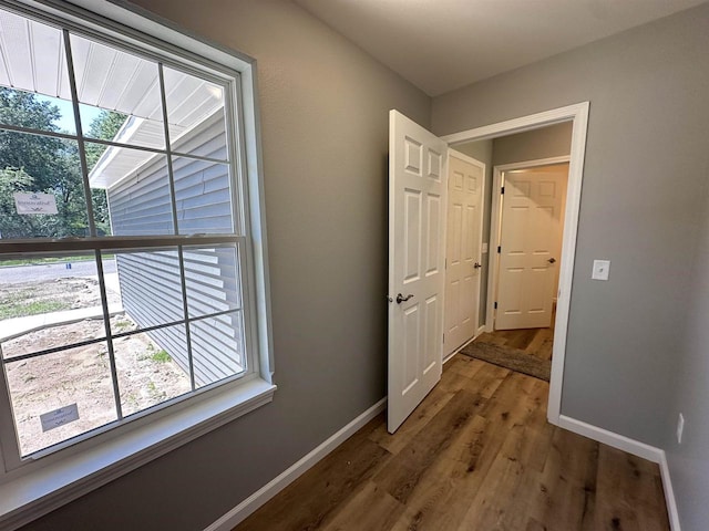 hallway with dark hardwood / wood-style floors and a wealth of natural light