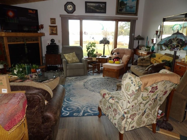 living room with wood-type flooring and a wealth of natural light