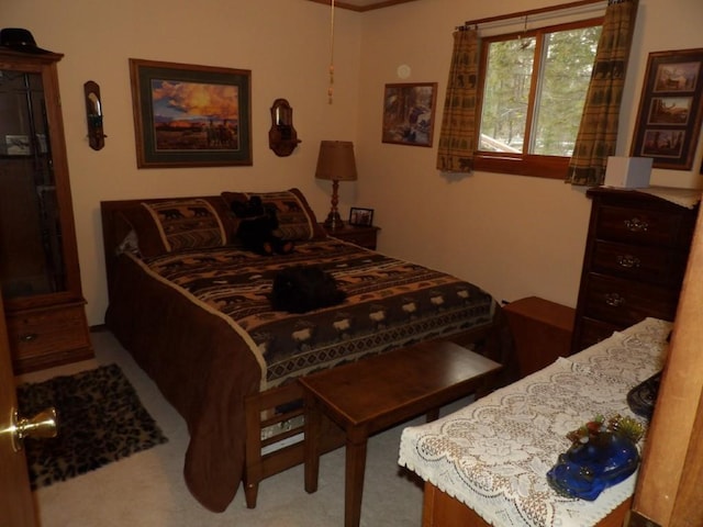 bedroom with carpet flooring