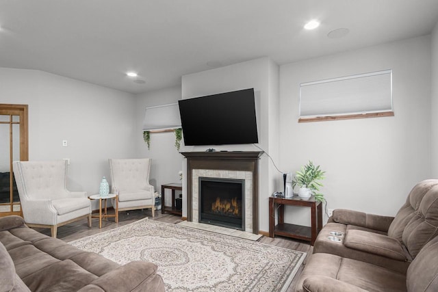 living room with a stone fireplace and wood-type flooring