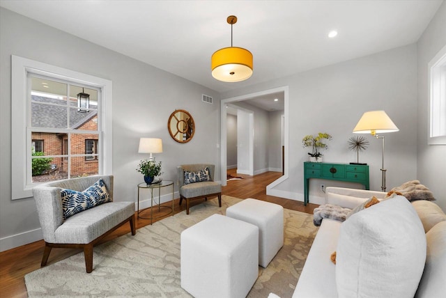 living room featuring hardwood / wood-style flooring