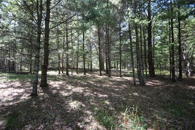 Listing photo 2 for LOT2 Olsen Rd, Webster WI 54893