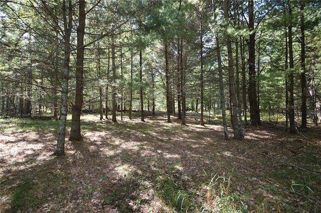 Listing photo 3 for LOT2 Olsen Rd, Webster WI 54893