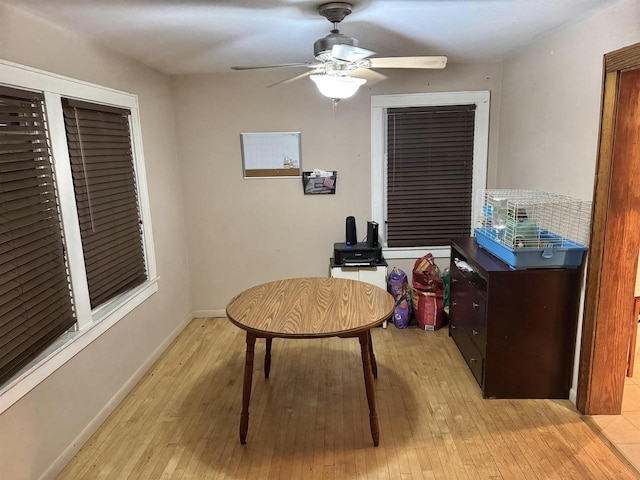 office space featuring ceiling fan and light wood-type flooring