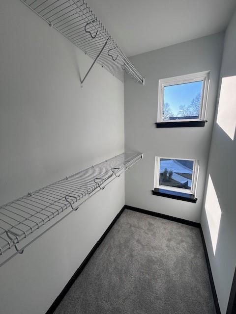 spacious closet featuring light colored carpet