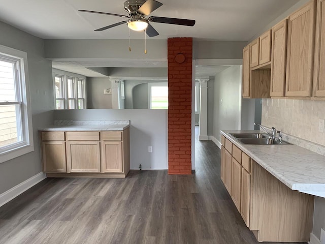 kitchen featuring ceiling fan, sink, a wealth of natural light, and dark wood-type flooring