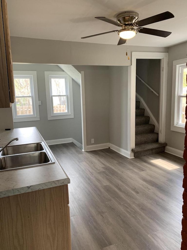 kitchen with wood-type flooring, ceiling fan, plenty of natural light, and sink