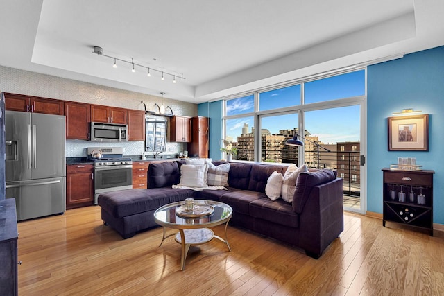 living room featuring light hardwood / wood-style floors, plenty of natural light, and sink