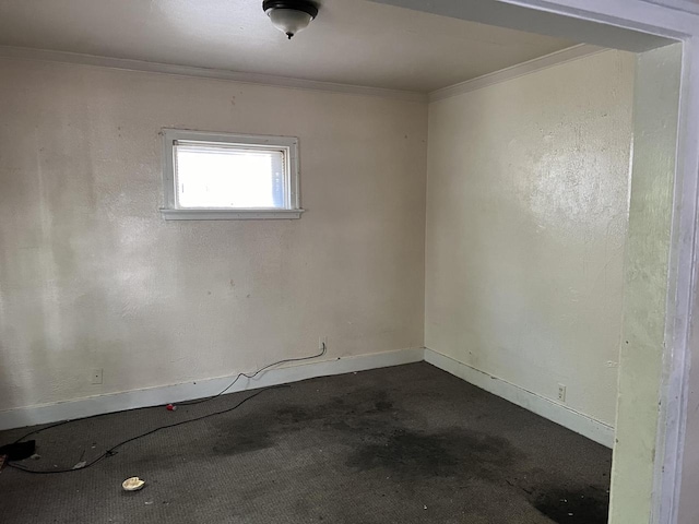 spare room featuring carpet and crown molding