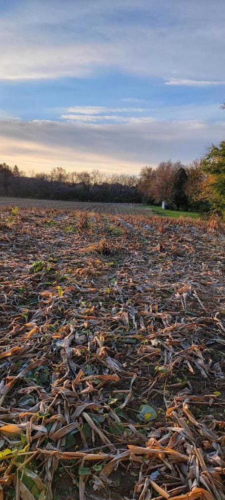 LT1 Sleepy Hollow Rd, West Bend, WI 53090